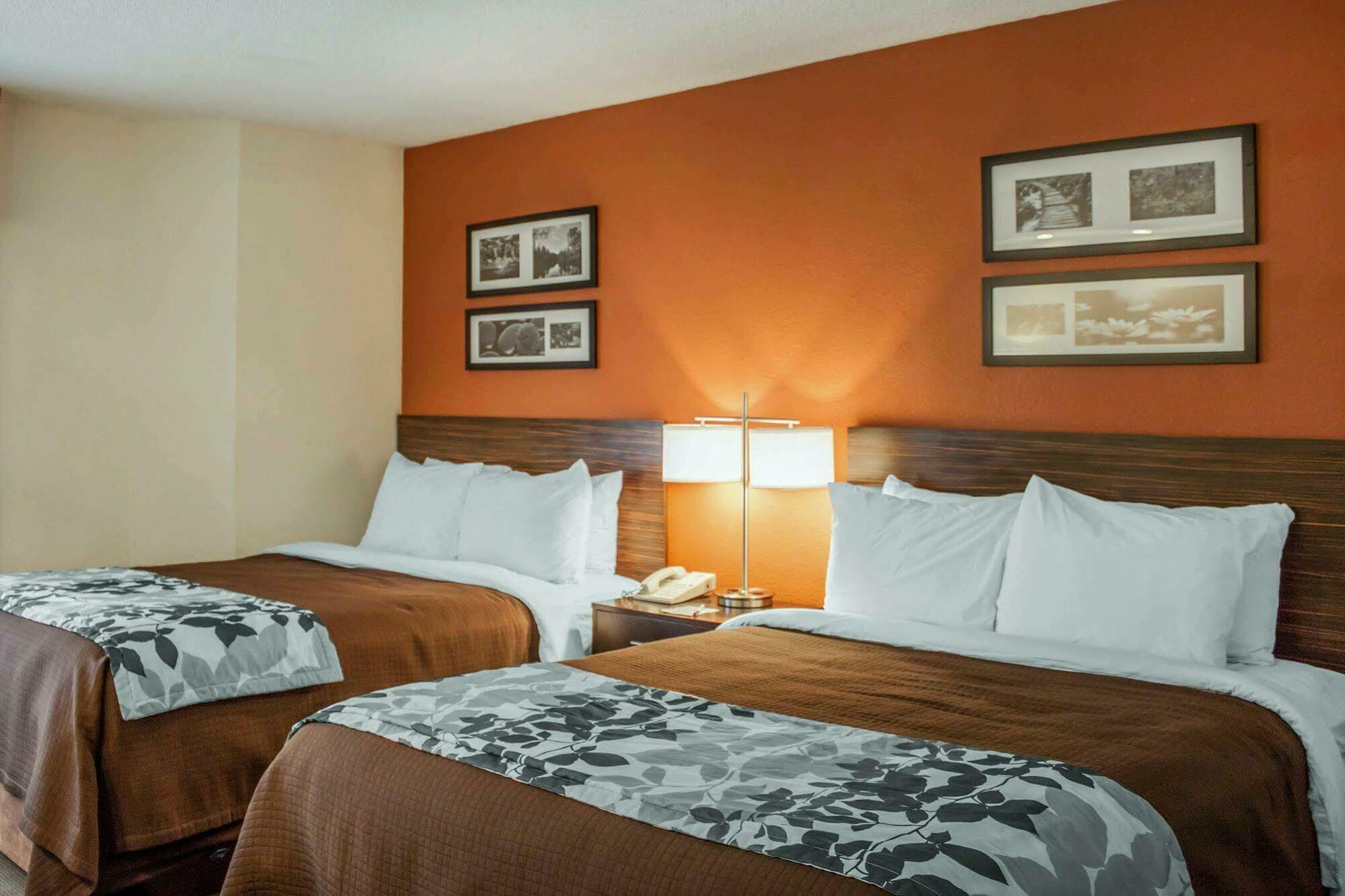 Sleep Inn North Charleston Ashley Phosphate Eksteriør bilde